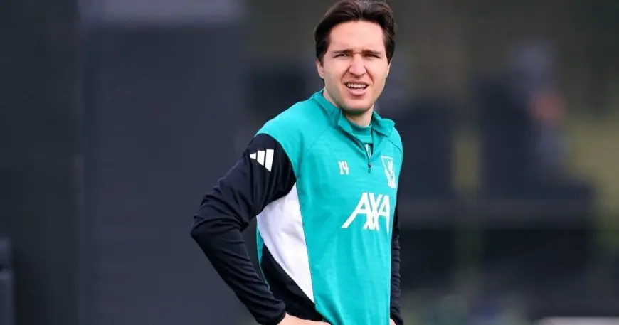 كييزا يرفض العروض الأوروبية ويبهر أتلتيكو مدريد وأندية إيطاليا بقراره البقاء مع ليفربول