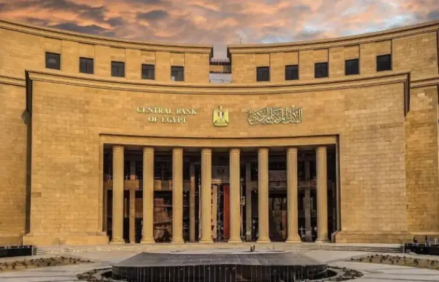 إطلاق البوابة الإلكترونية للجنة الاستقرار المالي الإفريقية بواسطة البنك المركزي المصري لتعزيز التعاون الاقتصادي