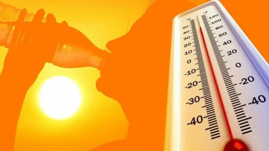 طقس القاهرة اليوم: حرارة شديدة ورطوبة نهارية تصل إلى 38 درجة مما يزيد الشعور بالحرارة في معظم الأنحاء