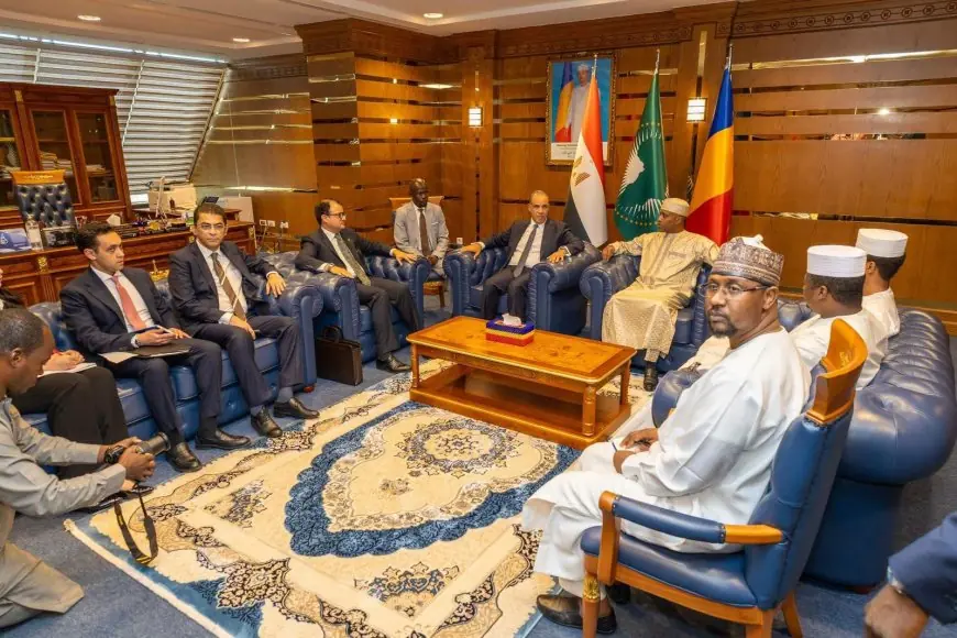وزير الخارجية يشدد على ضرورة احترام دول الجوار لسيادة السودان وأمنه في محادثات مع نظيره التشادي