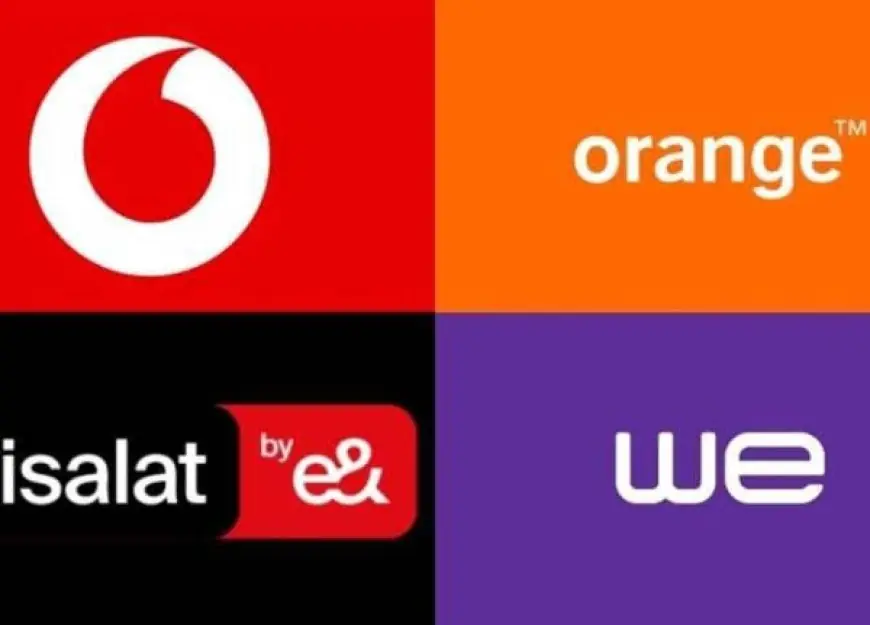 125 مليون خط محمول يكشف عن مفاجأة صادمة لأرقام المواطنين