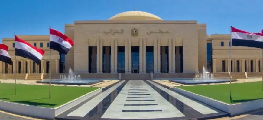 مجلس النواب يستجيب لطلب سناء السعيد بفحص الذمة المالية لعضو برلماني