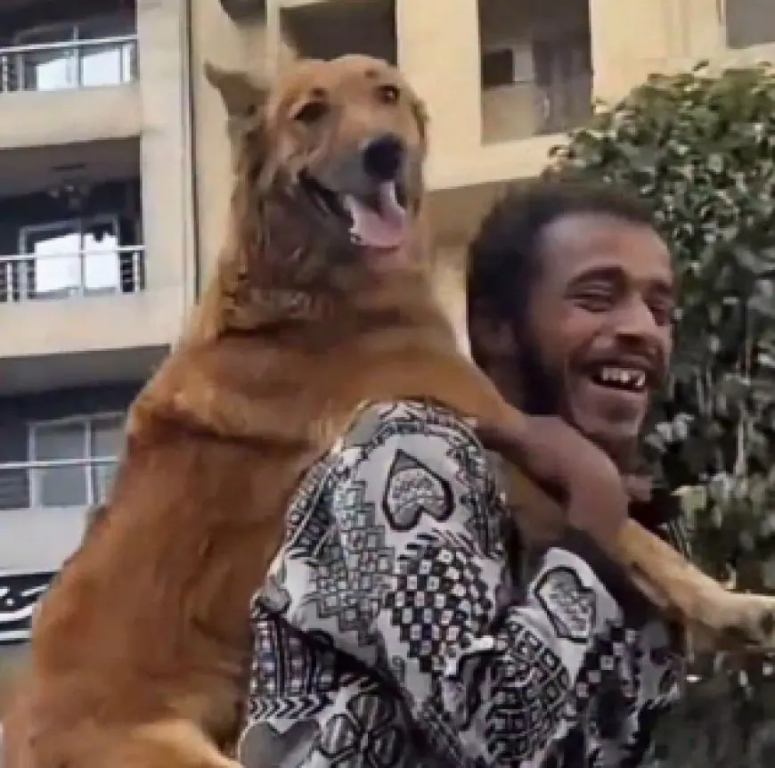 صدمة اتهام صاحب الصورة الشهيرة بكلب على كتفه بالسرقة بعد تقديمه المساعدة