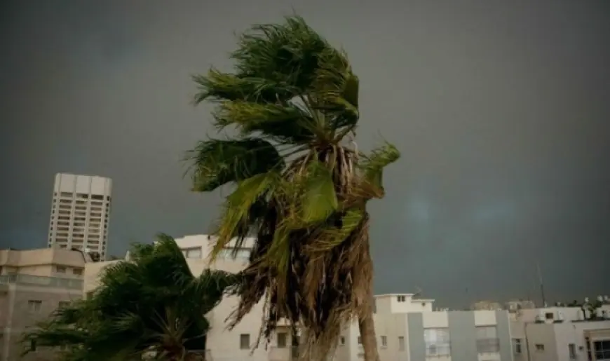 تعرف على حقيقة عفريت الغبار من الأرصاد الجوية ومتى تشكل تهديدًا