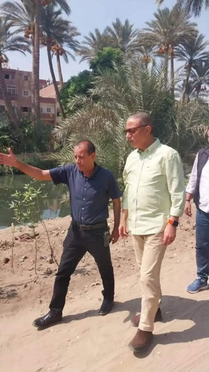 محافظ الجيزة يعلن زراعة 3350 شجرة في أبو النمرس لدعم مبادرة ازرع شجرة