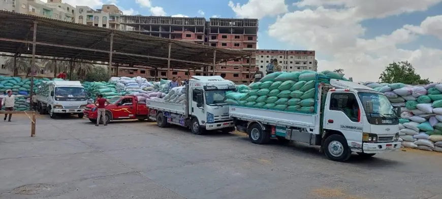 إنجاز تاريخي لمصر بتصدرها إنتاج القمح عربياً بـ10 ملايين طن سنوياً