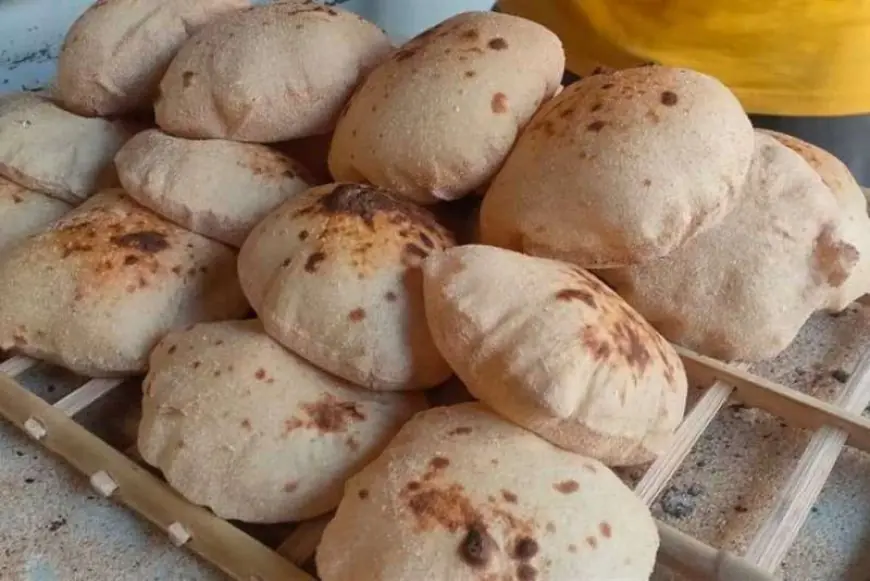 العيش مجاناً عبر منظومة الدعم النقدي: خبر سار ينتظرك