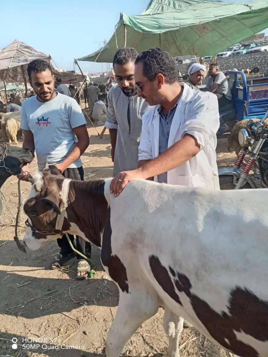 محافظة الجيزة تطلق الحملة القومية الثانية للتحصين ضد الحمى القلاعية وحمى الوادي المتصدع