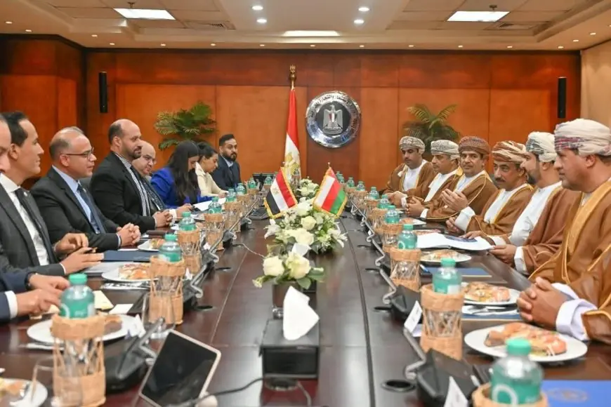 مصر وسلطنة عمان تعززان التعاون لزيادة الاستثمارات في الصناعات الدوائية والغذائية والطاقة المتجددة