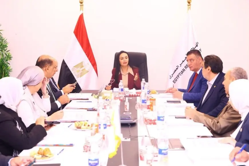 الهلال الأحمر المصري يحقق إنجازًا كبيرًا بتسليم مليون طن مساعدات لغزة منذ أكتوبر 2023