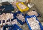 حماية المستهلك تضبط مصنعاً غير شرعي بالجيزة وتصادر 2 طن دواجن فاسدة