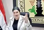 المجلس القومي للطفولة يتدخل لإنقاذ طفلة بالهانوفيل بعد تعرضها للعنف