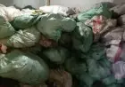 اكتشاف 70 طن من اللحوم والدواجن والدهون الفاسدة في الجيزة