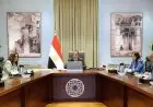 مدبولي يطلق مبادرة لتشجير القاهرة وتحويل الأراضي الفضاء إلى مسطحات خضراء لتحسين البيئة