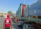 الهلال الأحمر يعزز دعم غزة بالمساعدات الإنسانية عبر القافلة 275 زاد العزة
