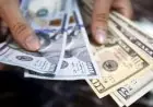 تحويلات المصريين بالخارج تصل لأعلى مستوياتها في عام 2025/2026 بحسب المركز الإعلامي لمجلس الوزراء