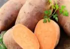 استشاري تغذية يكشف عن أفضل وجبات للرياضيين وأهمية البطاطا