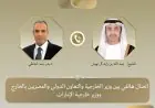 مباحثات هامة بين وزيري خارجية مصر والإمارات حول التطورات الإقليمية