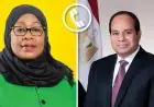 السيسي يعلن استمرار دعم مصر لتنمية تنزانيا وتعزيز التعاون بين البلدين
