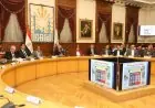 القاهرة تستعد لزراعة 60 ألف شجرة بحلول 2026 لتعزيز جمال المحافظة