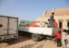 استجابة سريعة وزير الزراعة يرسل قافلة مساعدات غذائية ولوجستية لدعم أهالي كلابشة بأسوان
