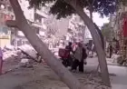 محافظة القاهرة توضح حقيقة سقوط شجرة في عين شمس دون تدخل بشري
