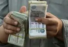 وزيرة التضامن تدعو للتحقيق الفوري في شكوى مواطن من ذوي الإعاقة في الإسكندرية