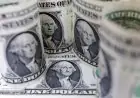 الدولار يتراجع دون 52 جنيهًا أمام الجنيه اليوم في البنوك المصرية