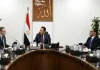 متحدث الحكومة يكشف عن تحضيرات لمؤتمر أكتوبر وتعدد التصورات المطروحة
