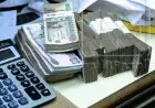 النظام الجديد للتأمينات الاجتماعية يقدم 38 خدمة لأصحاب المعاشات و80 ألف طلب يوميًا