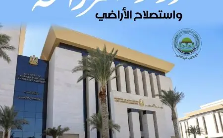 ضبط 213 طن و281 كجم لحوم فاسدة وتحرير 908 محاضر في المحافظات