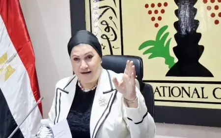 المجلس القومي للطفولة يتدخل لإنقاذ طفلة بالهانوفيل بعد تعرضها للعنف