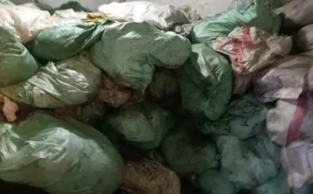 اكتشاف 70 طن من اللحوم والدواجن والدهون الفاسدة في الجيزة
