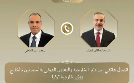 تكثيف الجهود لاحتواء التصعيد الإقليمي يتصدر مباحثات وزيري الخارجية التركي ونظيره