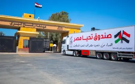 القاهرة تواصل دعم الشعب الفلسطيني بـ 80 % من المساعدات عبر قوافل إغاثية متواصلة