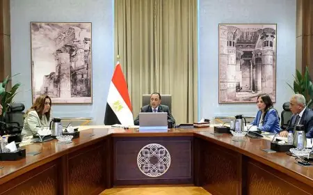 مدبولي يطلق مبادرة لتشجير القاهرة وتحويل الأراضي الفضاء إلى مسطحات خضراء لتحسين البيئة