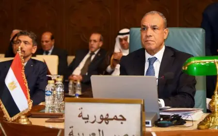 مصر تؤكد مجددًا رفضها الحازم للتهجير والاستيطان ودعمها للقضية الفلسطينية