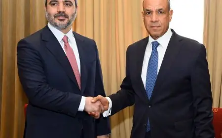 الوزير الخارجي يؤكد دعم وحدة وسيادة سوريا خلال لقائه مع نظيره السوري