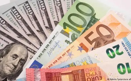 تعرف على أسعار العملات اليوم الثلاثاء 8 سبتمبر 2026 استقرار الدولار واليورو في البنوك