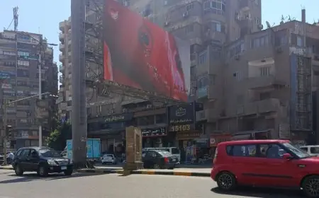 تنظيم الإعلانات يعيد تقييم منظومة الإعلانات بالمحاور الرئيسية في محافظة الجيزة من الأحياء إلى قلب المدينة