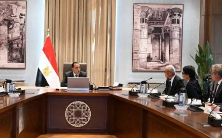 رئيس الوزراء يناقش التعاون مع الرئيس التنفيذي لمجموعة تويوتا تسوشو اليابانية