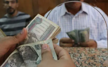 كيفية الاستعلام عن حالة بطاقة تكافل وكرامة سبتمبر 2026 باستخدام الرقم القومي