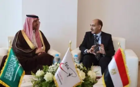 مصر والسعودية تتقدمان في خطة إطلاق أول قمر صناعي مشترك