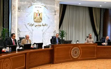 مدبولي يدعو لزراعة المحاور الرئيسية بالأشجار ومنع قطعها لتحقيق التنمية المستدامة