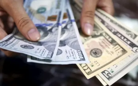 تحويلات المصريين بالخارج تصل لأعلى مستوياتها في عام 2025/2026 بحسب المركز الإعلامي لمجلس الوزراء