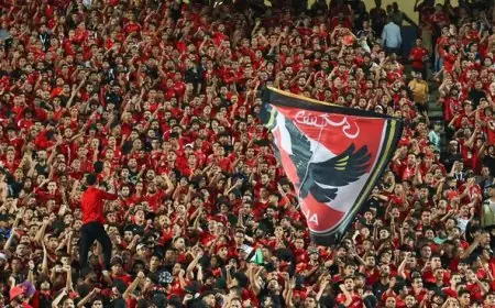 هشام حنفي يدعو جماهير الأهلي لدعم الفريق دون هدمه مع إمكانية العتاب