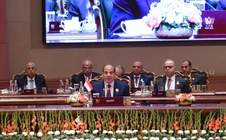 كلمة الرئيس السيسي في قمة بريكس تجسد رؤية مصر نحو نظام دولي متوازن