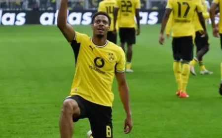 بدايات مثالية دورتموند وفرايبورغ تواصل التألق في الدوري الألماني