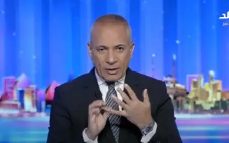 أحمد موسى يفضح مخطط الإخوان لإسقاط الدولة المصرية انطلاقاً من هولندا
