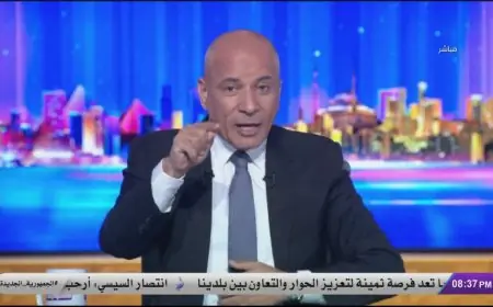 أحمد موسى يفضح قائمة عملاء الموساد في مؤتمر هولندا لاستهداف الدولة المصرية